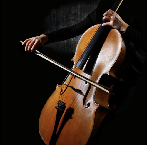 Image violoncelliste qui est son propre professeur de musique